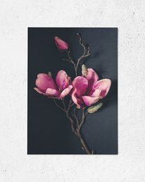 Pocztówka Kartka Z Pozdrowieniami Ciemna Magnolia (PK_062)