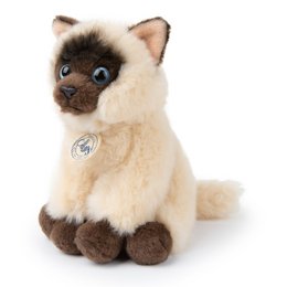 BTC - Eddie le Siamois en boà®te cadeau - 17 cm -