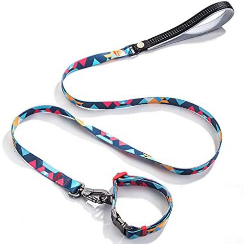 Dog Leash Multicolor - 0202-6