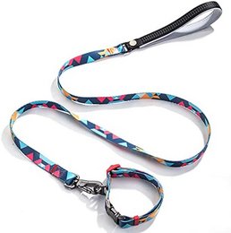 Laisse pour Chien Multicolore - 0202-6