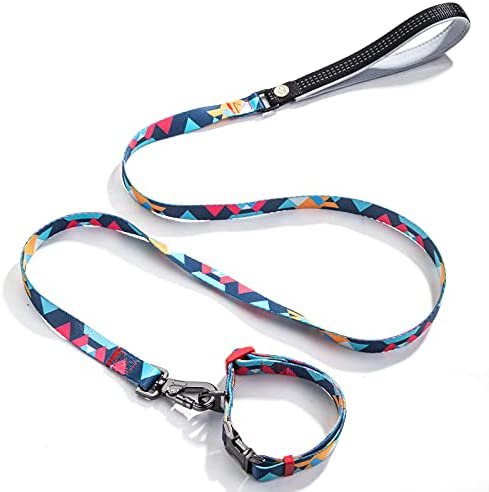 Dog Leash Multicolor - 0202-6