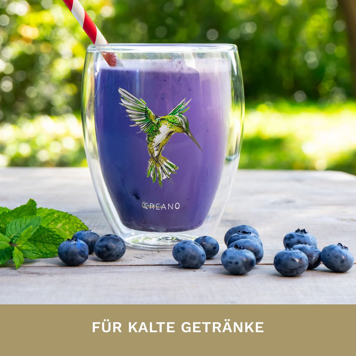 Creano Doppelwand-Teeglas Kolibri 250ml grün Geschenkbox