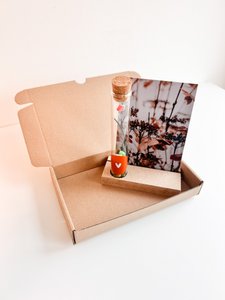Giftbox buisje Armband maken DIY