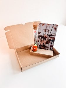 Giftbox buisje Armband maken DIY