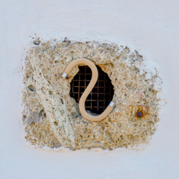 Rope Hooks