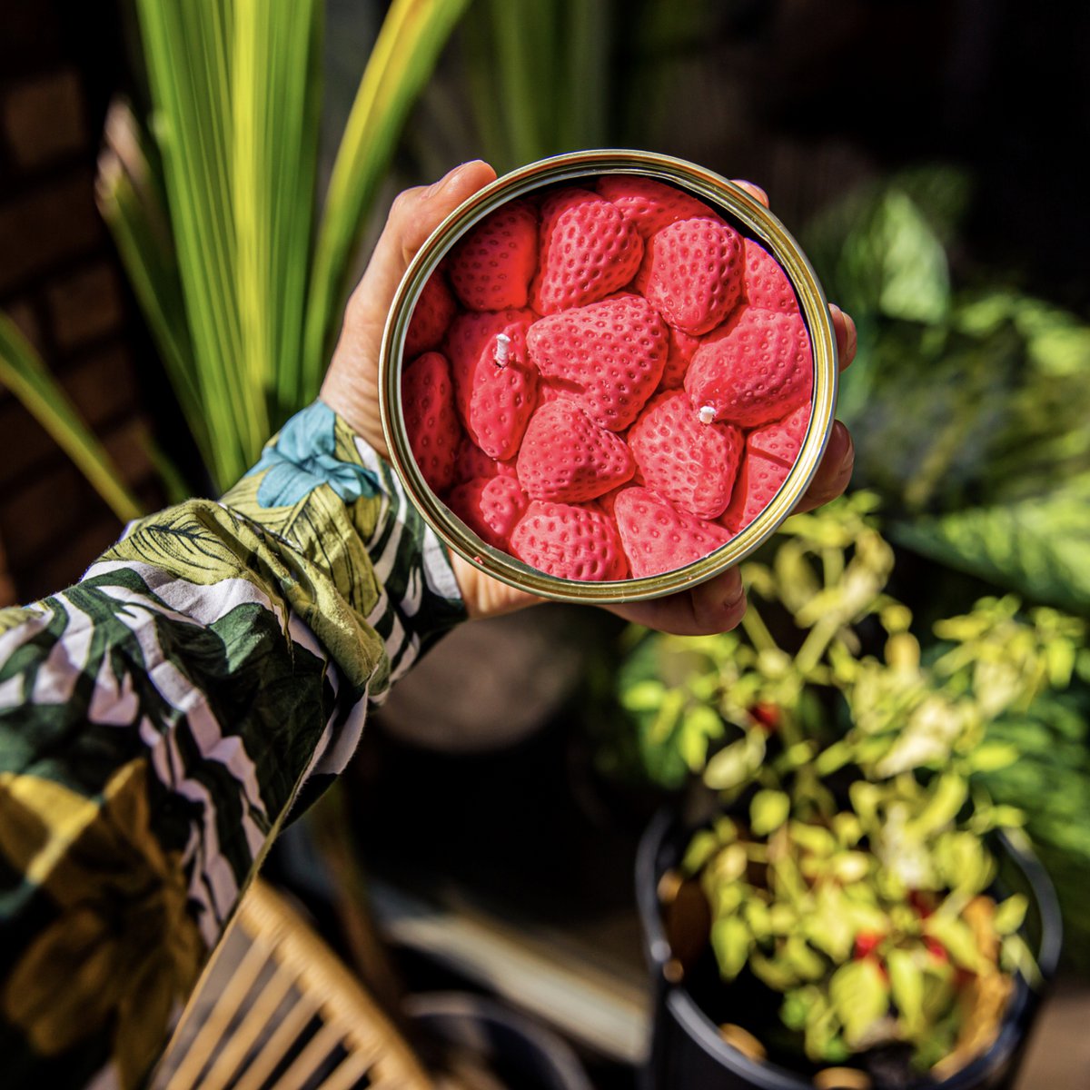 Rijpe Aardbeien Kaars
