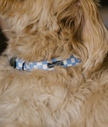 Halskette aus recyceltem PET, blaues Vichy-Design, Juno