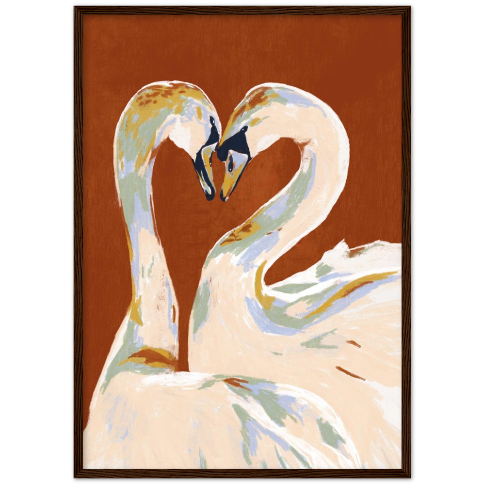 Love swans