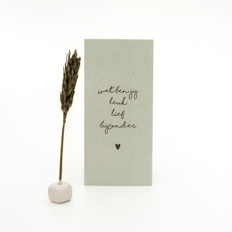Little Box Dried Flower "You are so nice sweet special"