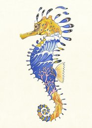 E037 - sea horse