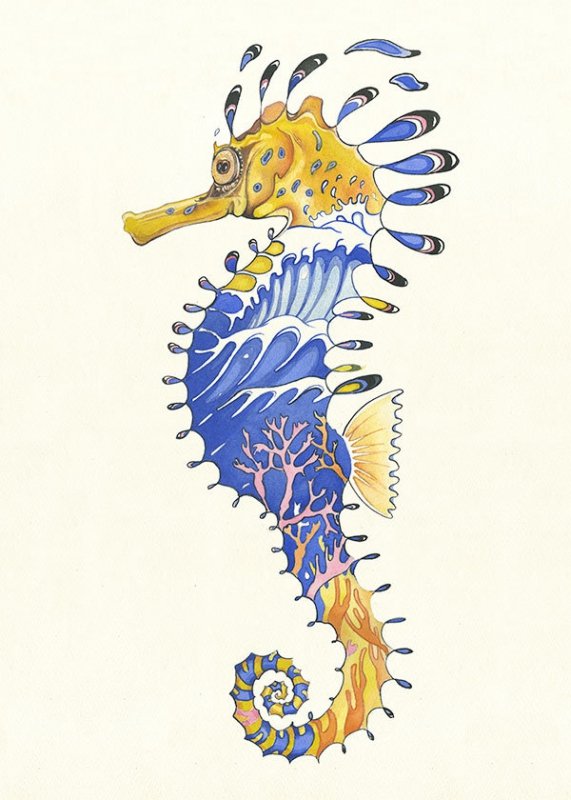 E037 - sea horse