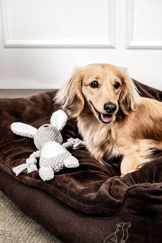 Juguete para perros Conejo Theo