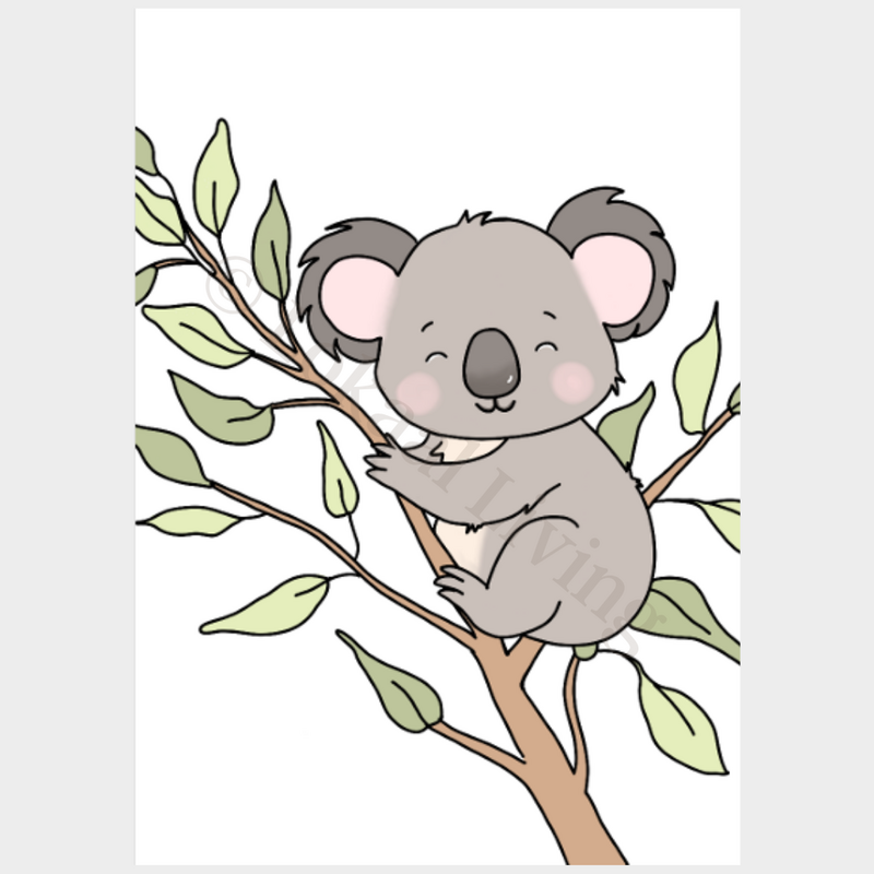 Poster Koala