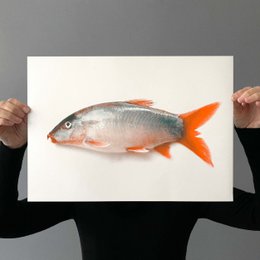 Riso Artprint Fisch Neko, Risografía, DIN A3