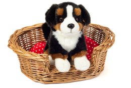 Berner Sennenhund siddende 21 cm - plyslegetøj - blødt legetøj