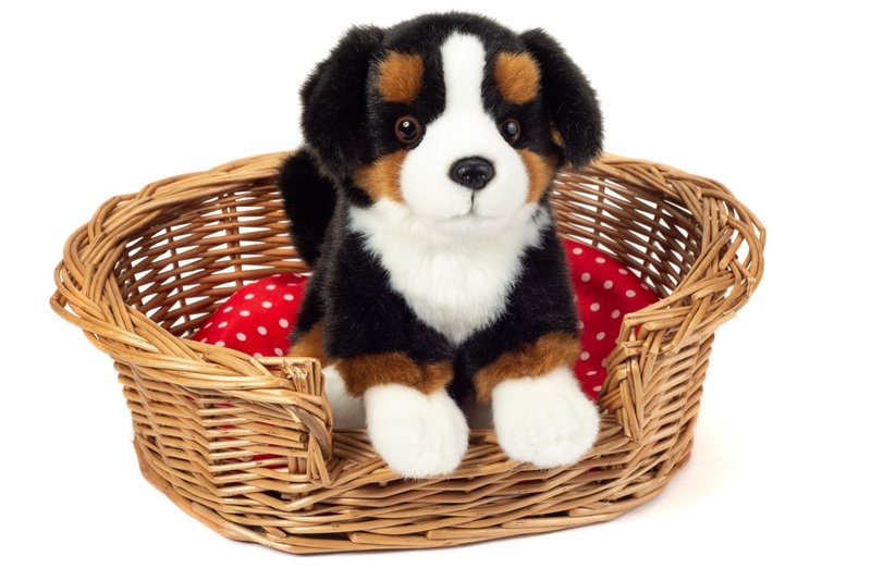 Berner Sennenhund siddende 21 cm - plyslegetøj - blødt legetøj