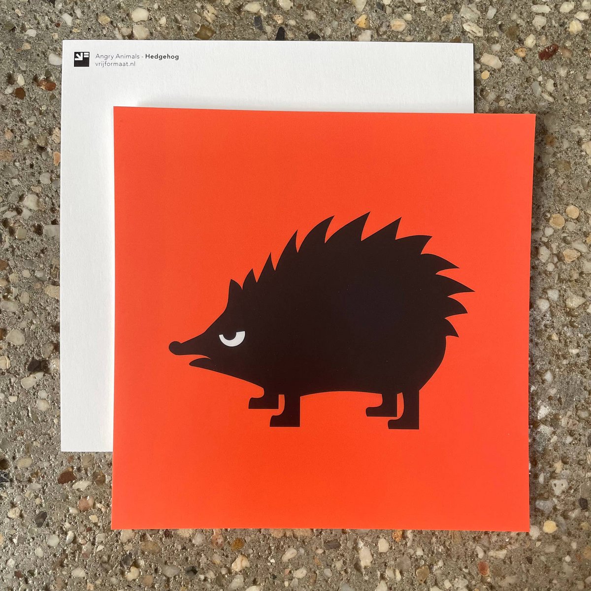 postcard - Hedgehog (Angry Animals)