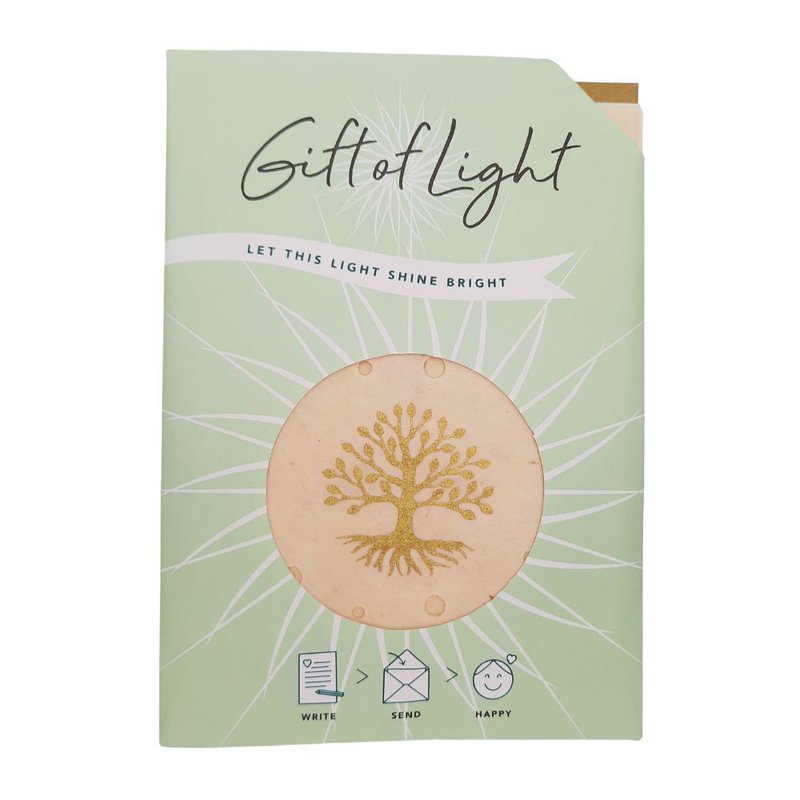 Gift of Light  | Display