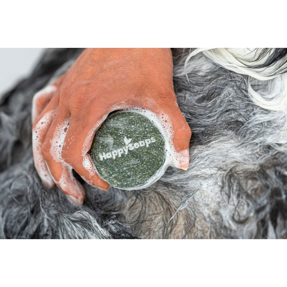 Dog Shampoo Bar – Universal