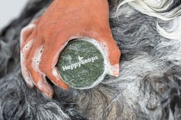 Dog Shampoo Bar – Universal