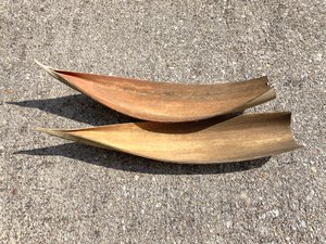Cocoboat Gigante, ca. 60cm x 12cm, natur