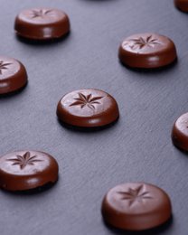 Coffret gourmand L - 12 pièces - sans sucre ajouté I 1,3 kg