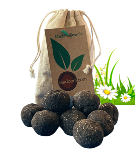 10 Seed bombs in a bag: Daisy mix