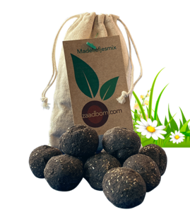 10 Seed bombs in a bag: Daisy mix