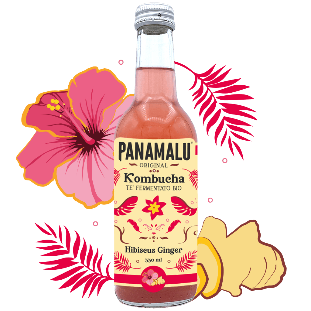 HIBISCUS-GEMBER KOMBUCHA (DOOS DA 6 BOTTIGLIE 330ml)