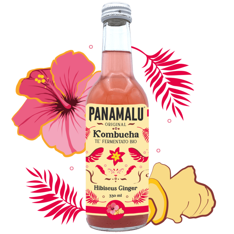 HIBISKUS-INGWER KOMBUCHA (BOX DA 6 BOTTIGLIE 330ml)