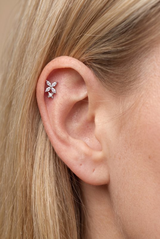Piercing d'oreille en acier inoxydable.