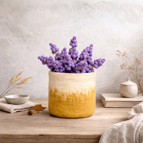 Hyacinth purple