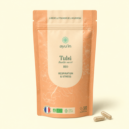 Biologische Tulsi – gekalmeerde geest en ademhaling