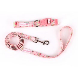 Pet collar Abby size M Isabelle Rose