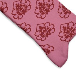 Chaussettes Alcachofas