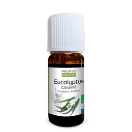 Organiczny olejek eteryczny z eukaliptusa cytrynowego