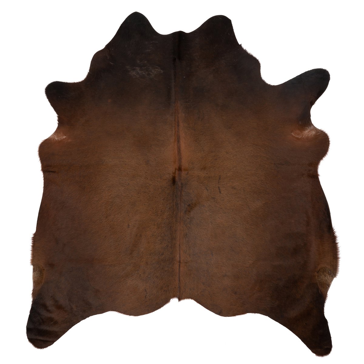 K805 | Unieke Koeienhuid XL | Donkerbruin | ca.210 x 180cm