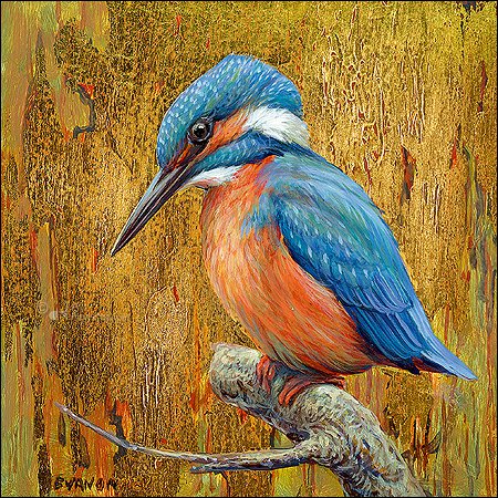 Carpeta de tarjetas - Erik van Ommen, Pájaros