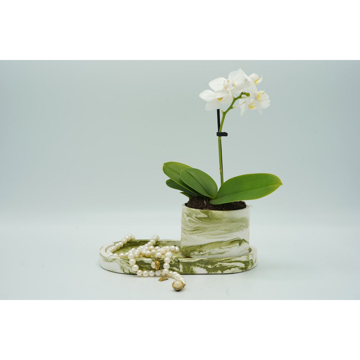 Groen schaal - Marmer-look