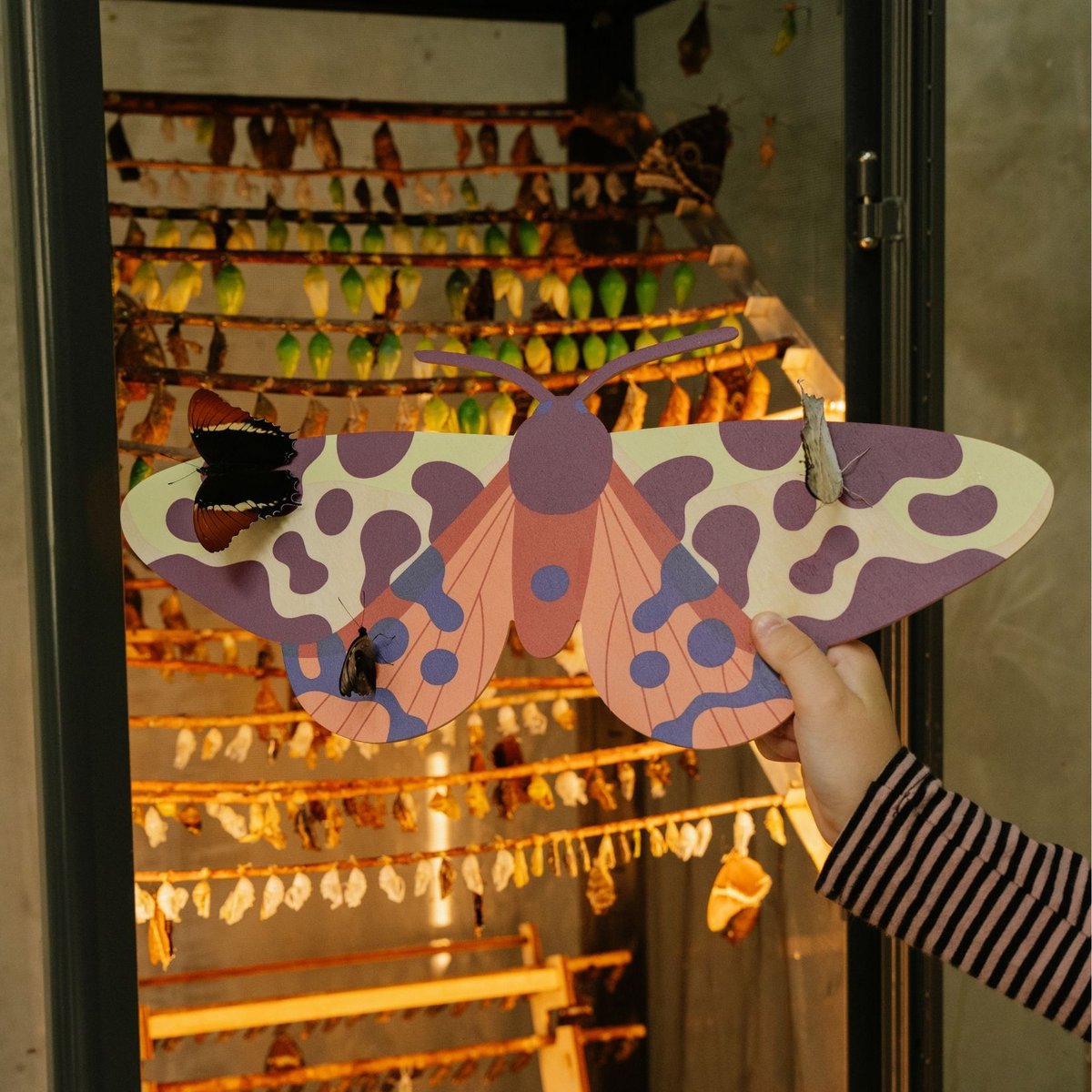 Garden Tiger Moth– wooden wall decoration, butterfly home art, decorative object