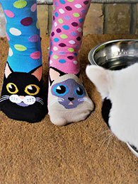 Catwalk Cat Socks 37-42 Oddsocks