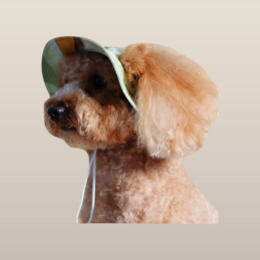 Okerkleurige pet-emmerhoed