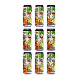 Rudys Real Coconut & Ananas Kombucha (24x330ml)