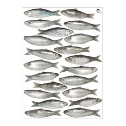 Watercolor sardine wall sticker