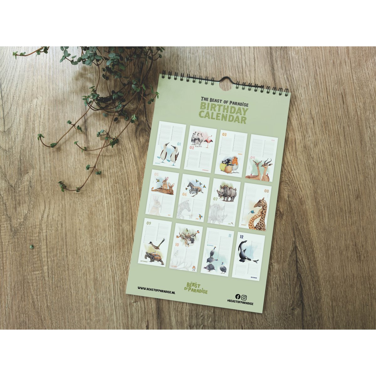 Dyrefødselsdagskalender, evighedskalender, miljøvenlig