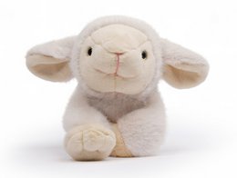 One Love Knuffel - Lam Daisy Wit