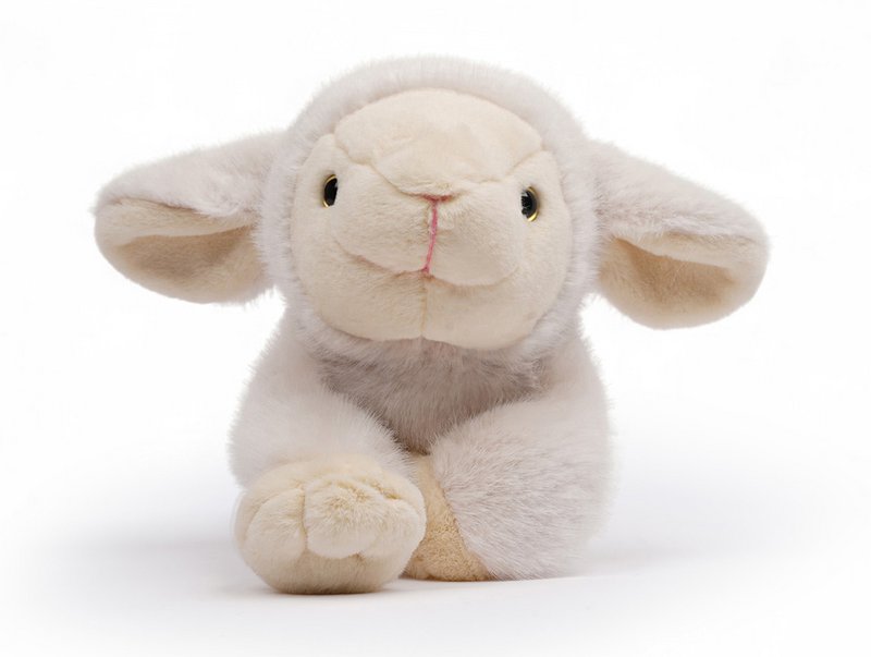One Love Knuffel - Lam Daisy Wit