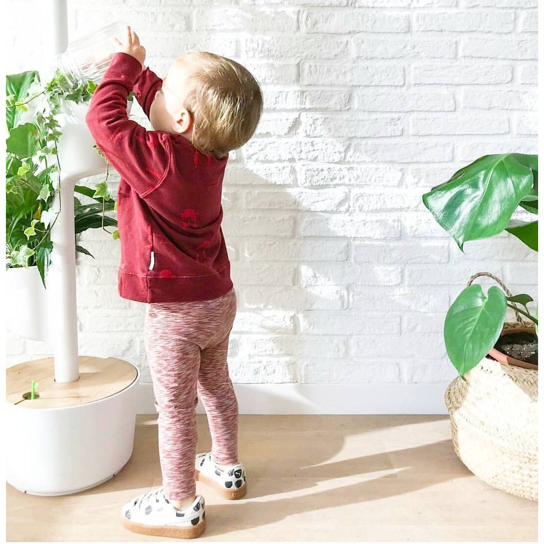 Jardinera Vertical Auto-riego 3 macetas