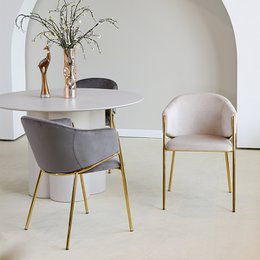 Dalila eetstoelen [set van 2] [Velvet]