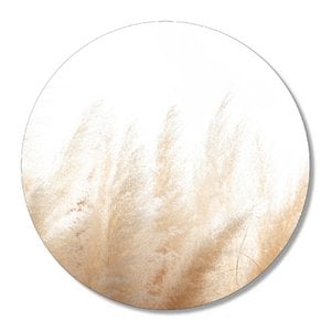 Wandkreis - Pampasgras 20 cm